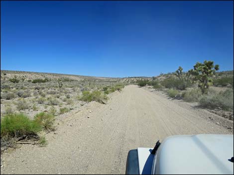 Badger Valley Road