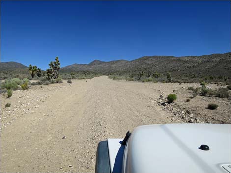 Badger Valley Road