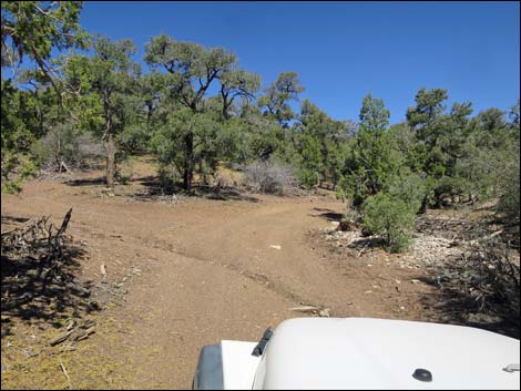 Badger Valley Road