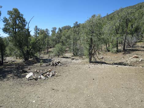 Badger Valley Road