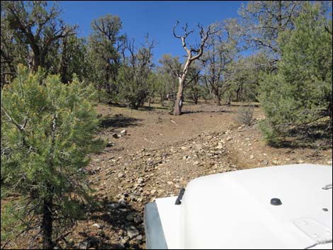 Badger Valley Road