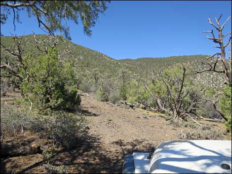 Badger Valley Road