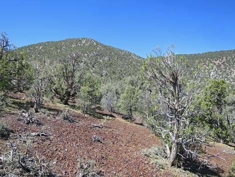 Badger Valley Road