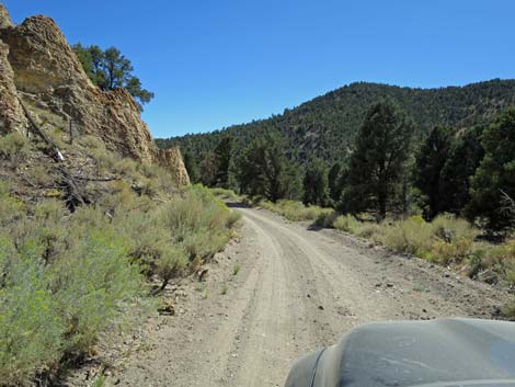 Cherry Creek Road