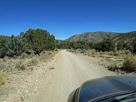 Cherry Creek Road