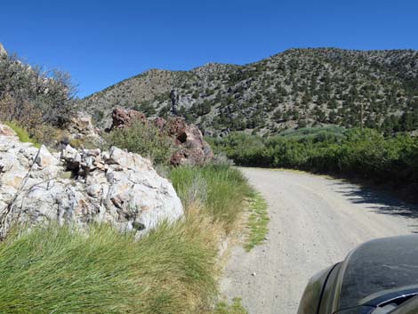 Cherry Creek Road