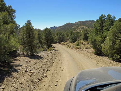 Cherry Creek Road