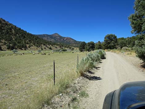 Cherry Creek Road