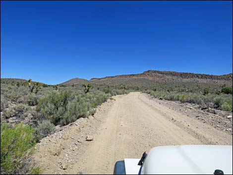 Curtis Canyon Road