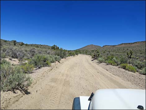 Curtis Canyon Road