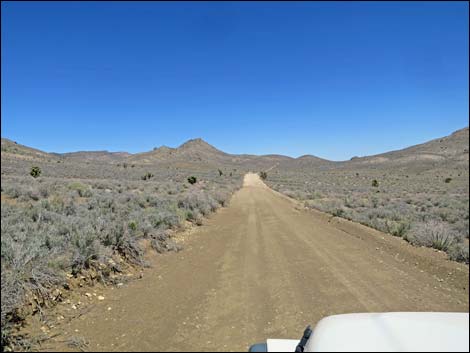 Curtis Canyon Road