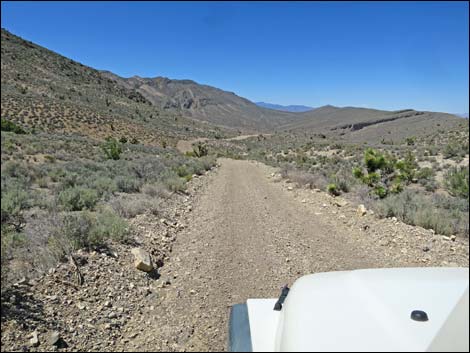 Curtis Canyon Road