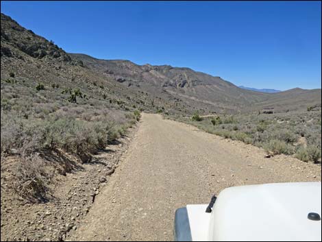 Curtis Canyon Road