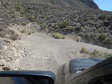 Curtis Canyon Road