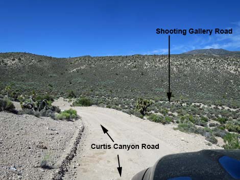 Curtis Canyon Road