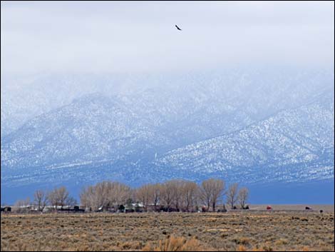 Heizer Ranch Road