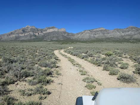 Leviathan Cave Road