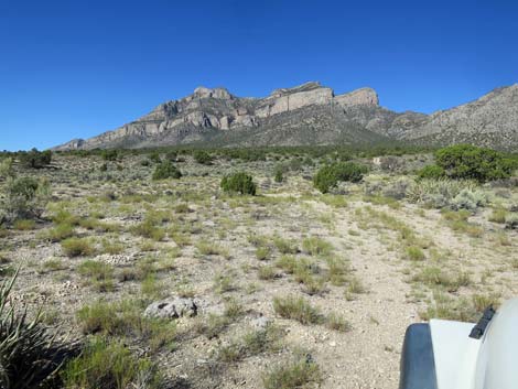 Leviathan Cave Road