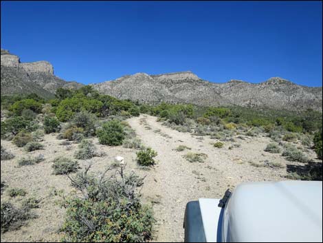 Leviathan Cave Road