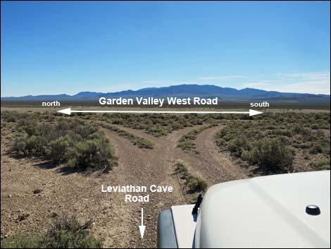 Leviathan Cave Road