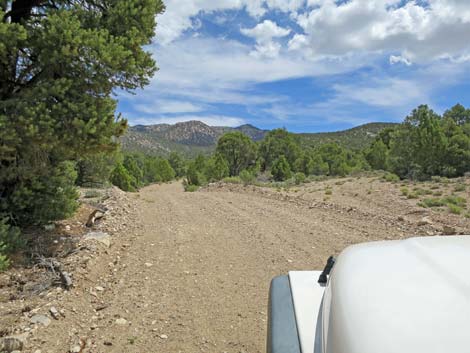 Logan Canyon Road