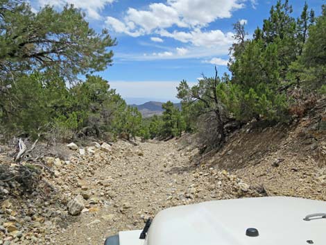 Logan Canyon Road