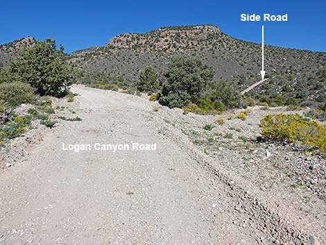 Logan Canyon Road