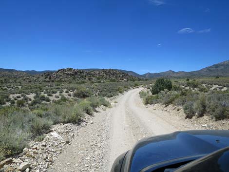 Logan Canyon Road