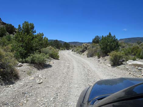 Logan Canyon Road