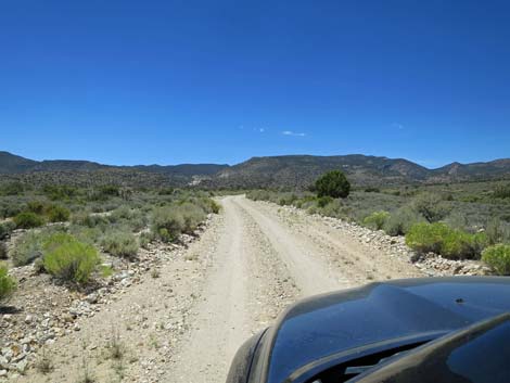 Logan Canyon Road