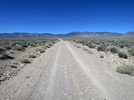 Logan Canyon Road