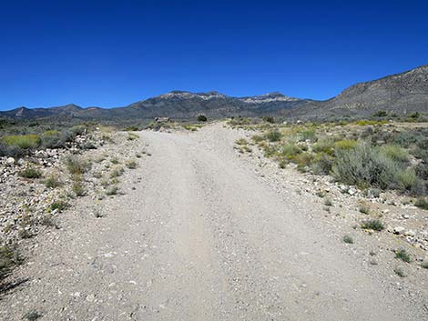 Logan Canyon Road