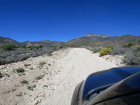 Logan Canyon Road