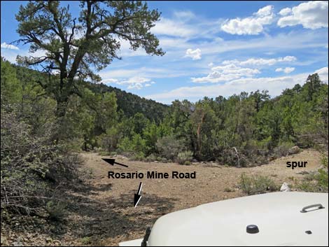 Rosario Mine Road