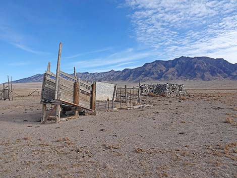 Shadow Spring cabin ruins