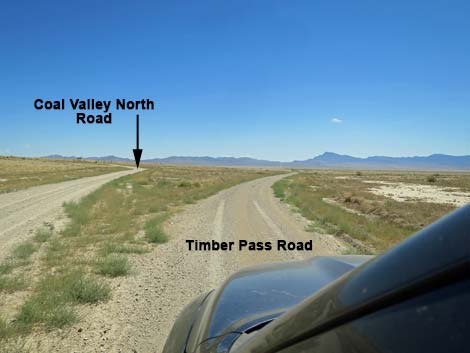 Timber Pass Road