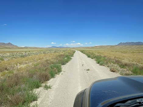 Timber Pass Road