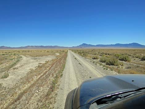 Timber Pass Road