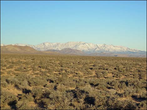 Timber Mountain Pass Road