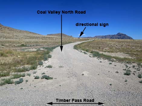 Timber Pass Road