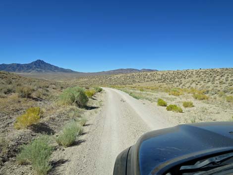 Timber Pass Road