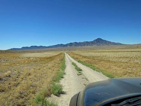 Timber Pass Road