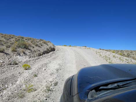 Timber Pass Road