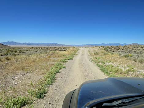 Timber Pass Road