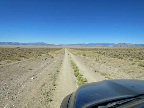 Timber Pass Road