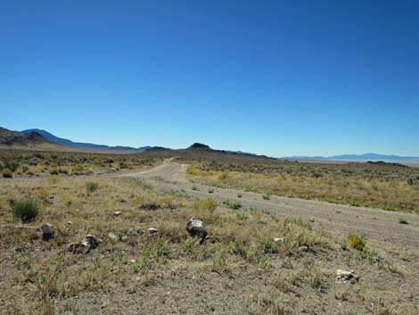 Timber Pass Road