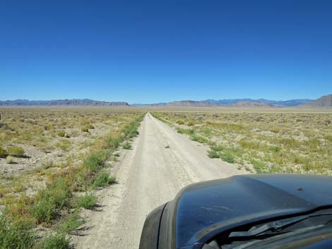 Timber Pass Road