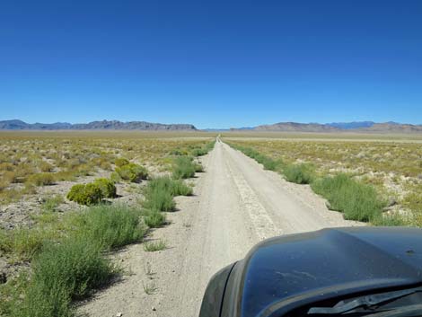 Timber Pass Road