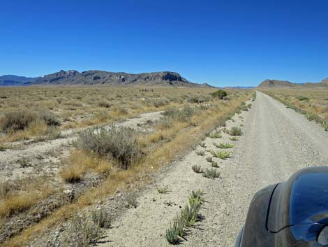 Timber Pass Road