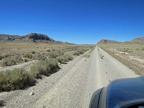 Timber Pass Road